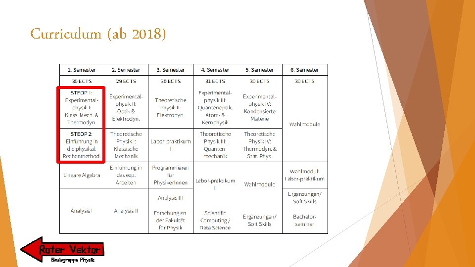 Curriculum (ab 2018) 