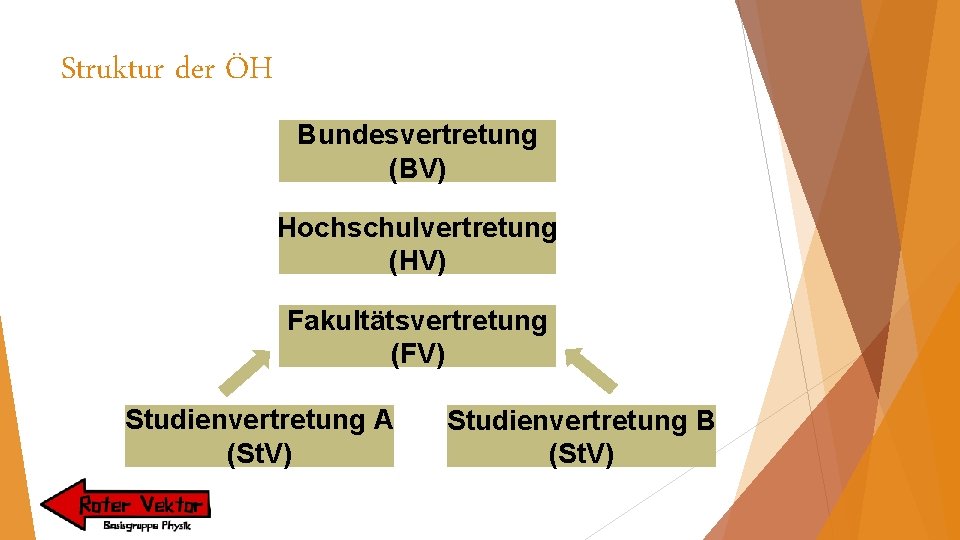 Struktur der ÖH Bundesvertretung (BV) Hochschulvertretung (HV) Fakultätsvertretung (FV) Studienvertretung A (St. V) Studienvertretung