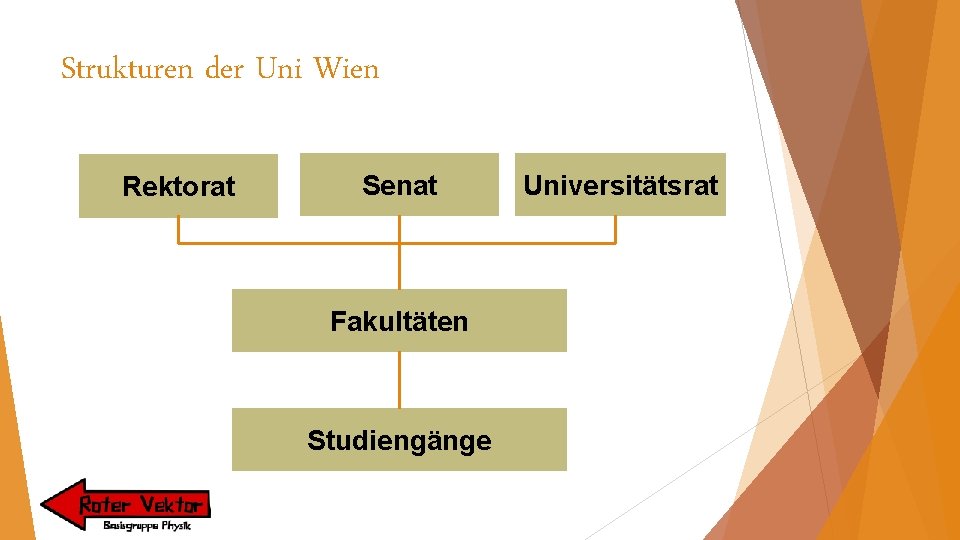 Strukturen der Uni Wien Rektorat Senat Fakultäten Studiengänge Universitätsrat 