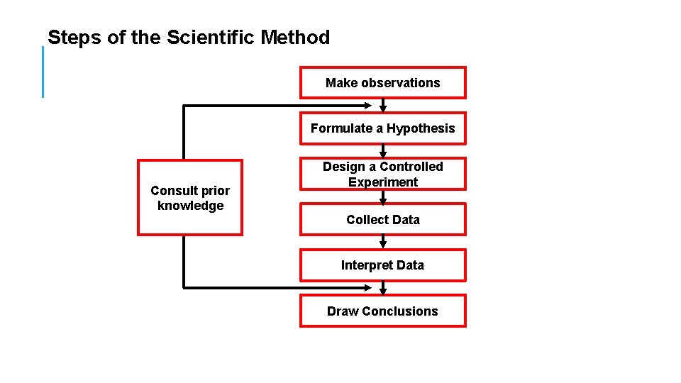 Steps of the Scientific Method Make observations Formulate a Hypothesis Consult prior knowledge Design
