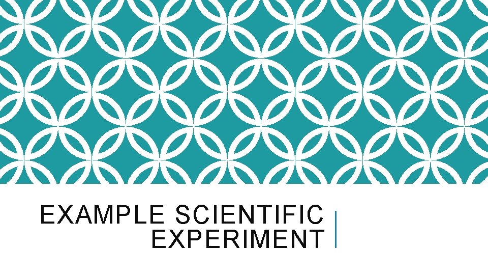 EXAMPLE SCIENTIFIC EXPERIMENT 