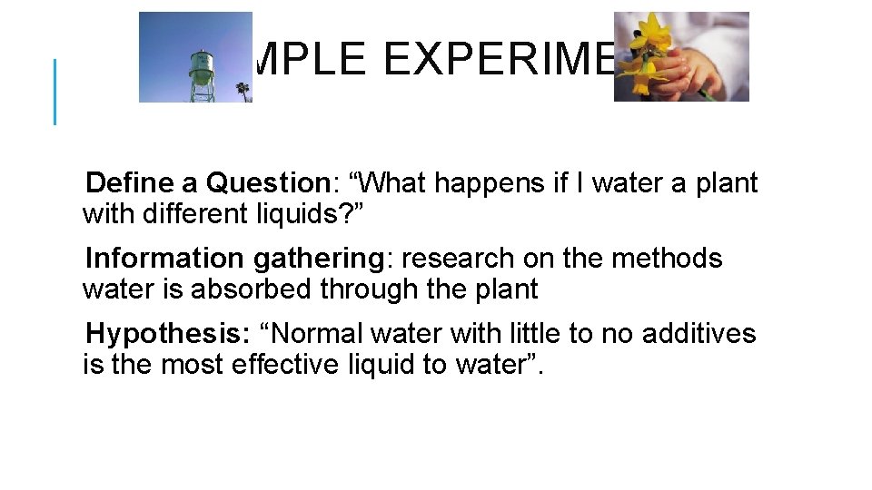 EXAMPLE EXPERIMENT Define a Question: “What happens if I water a plant with different