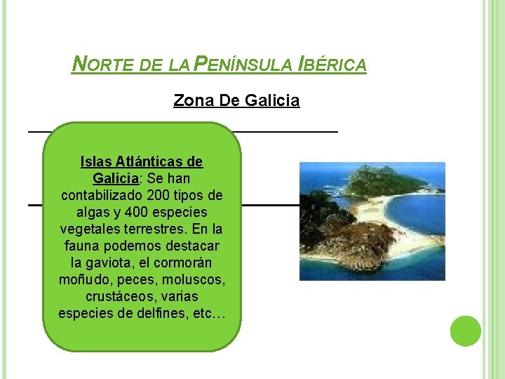 NORTE DE LA PENÍNSULA IBÉRICA Zona De Galicia Islas Atlánticas de Galicia: Se han