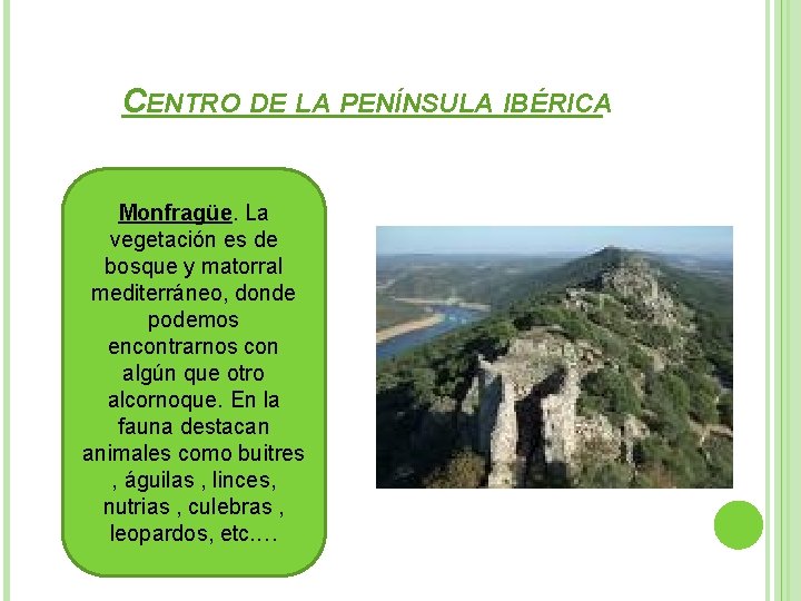 CENTRO DE LA PENÍNSULA IBÉRICA Monfragüe. La vegetación es de bosque y matorral mediterráneo,