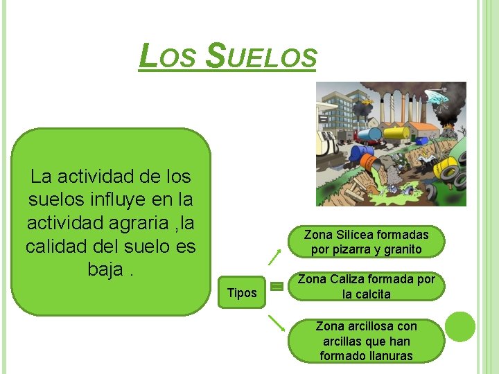 LOS SUELOS La actividad de los suelos influye en la actividad agraria , la