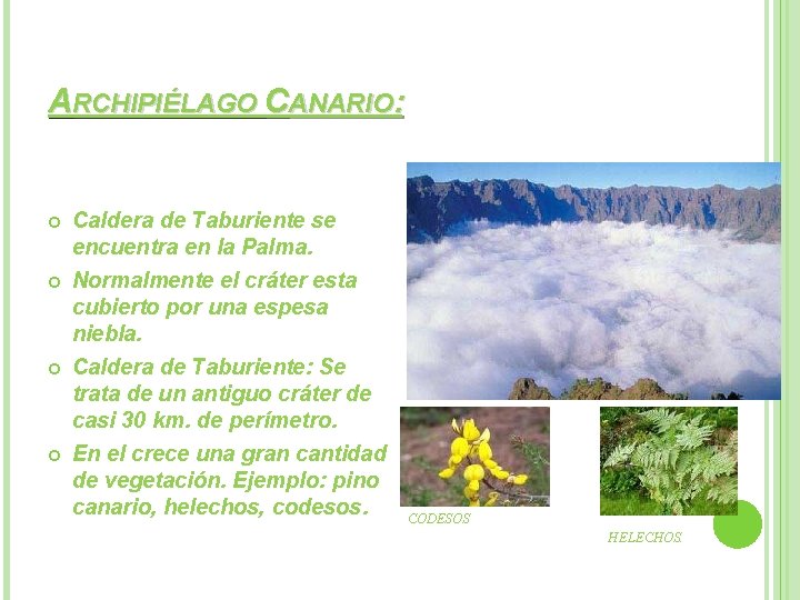 ARCHIPIÉLAGO CANARIO: Caldera de Taburiente se encuentra en la Palma. Normalmente el cráter esta