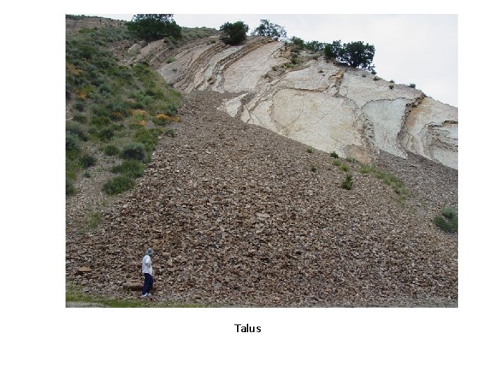 Talus Talus
