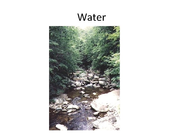 Water 