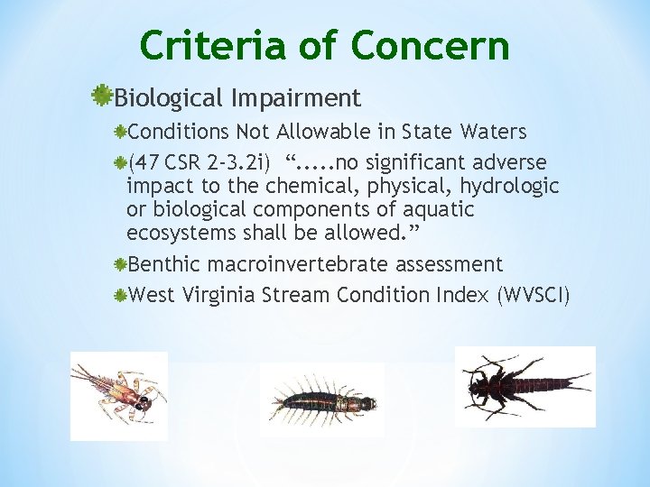 Criteria of Concern Biological Impairment Conditions Not Allowable in State Waters (47 CSR 2