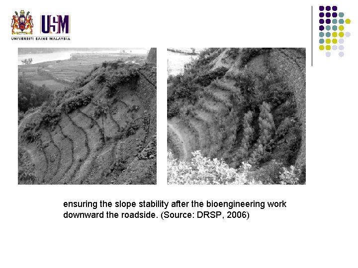ensuring the slope stability after the bioengineering work downward the roadside. (Source: DRSP, 2006) ensuring the slope stability after the bioengineering work downward the roadside. (Source: DRSP, 2006)