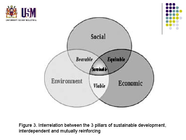 Figure 3. Interrelation between the 3 pillars of sustainable development, interdependent and mutually reinforcing Figure 3. Interrelation between the 3 pillars of sustainable development, interdependent and mutually reinforcing