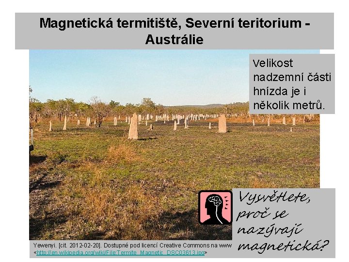 Magnetická termitiště, Severní teritorium Austrálie Velikost nadzemní části hnízda je i několik metrů. Vysvětlete,