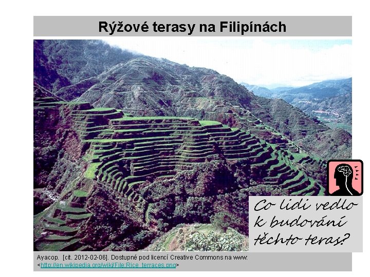 Rýžové terasy na Filipínách Co lidi vedlo k budování těchto teras? Ayacop. [cit. 2012