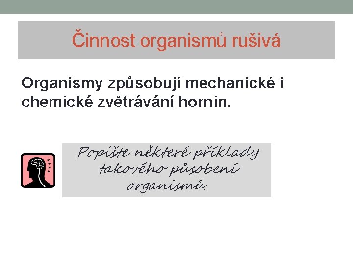 Činnost organismů rušivá Organismy způsobují mechanické i chemické zvětrávání hornin. Popište některé příklady takového