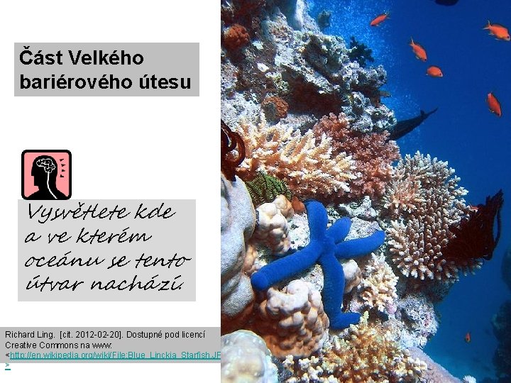 Část Velkého bariérového útesu Vysvětlete kde a ve kterém oceánu se tento útvar nachází.