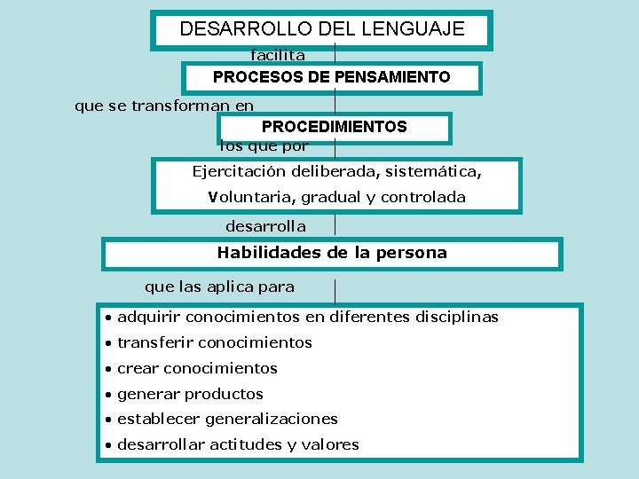 DESARROLLO DEL LENGUAJE facilita PROCESOS DE PENSAMIENTO que se transforman en PROCEDIMIENTOS los que