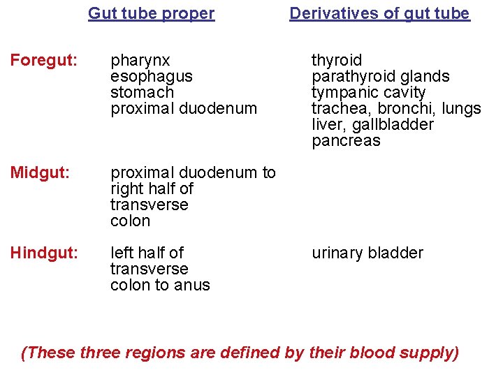 Gut tube proper Foregut: pharynx esophagus stomach proximal duodenum Midgut: proximal duodenum to right