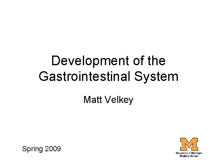 Development of the Gastrointestinal System Matt Velkey Spring 2009 