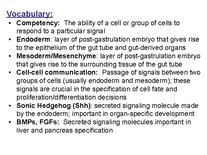 Vocabulary: • Competency: The ability of a cell or group of cells to respond