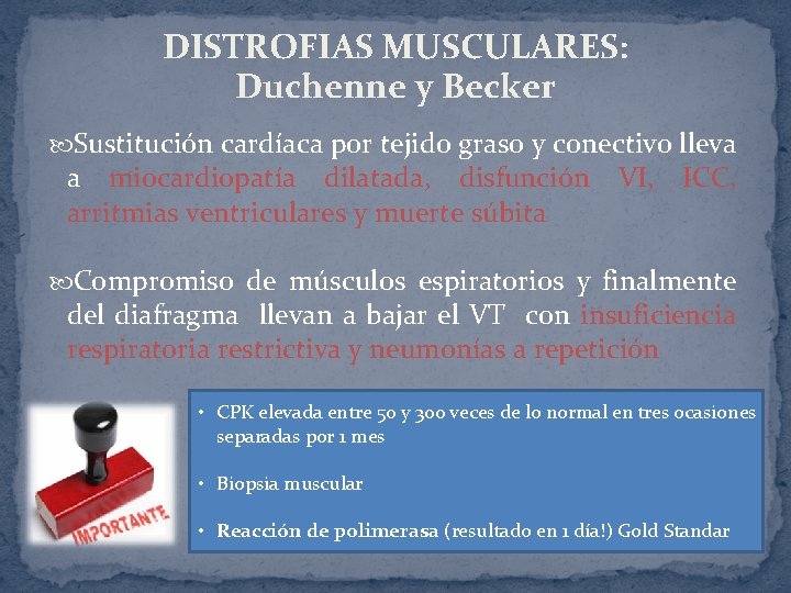 DISTROFIAS MUSCULARES: Duchenne y Becker Sustitución cardíaca por tejido graso y conectivo lleva a