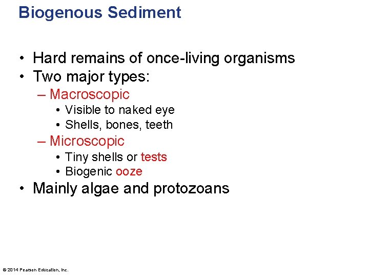 Biogenous Sediment • Hard remains of once-living organisms • Two major types: – Macroscopic