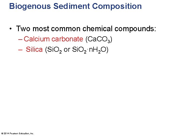 Biogenous Sediment Composition • Two most common chemical compounds: – Calcium carbonate (Ca. CO