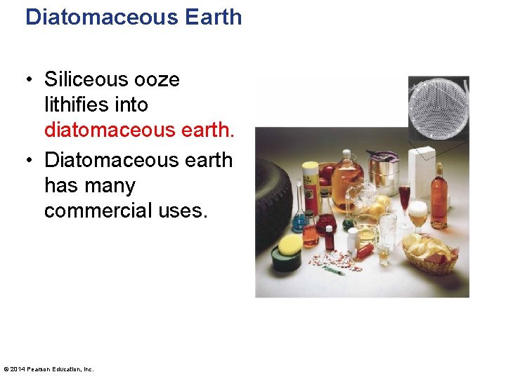 Diatomaceous Earth • Siliceous ooze lithifies into diatomaceous earth. • Diatomaceous earth has many