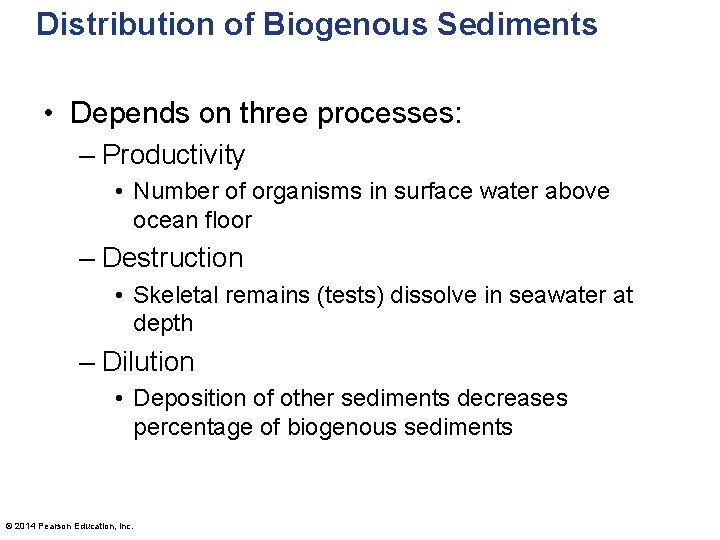 Distribution of Biogenous Sediments • Depends on three processes: – Productivity • Number of