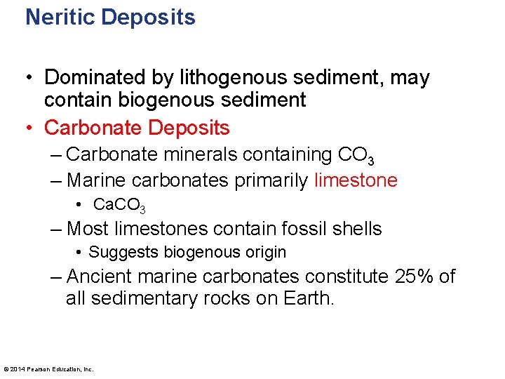 Neritic Deposits • Dominated by lithogenous sediment, may contain biogenous sediment • Carbonate Deposits