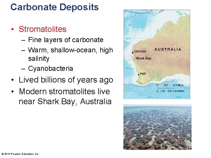 Carbonate Deposits • Stromatolites – Fine layers of carbonate – Warm, shallow-ocean, high salinity