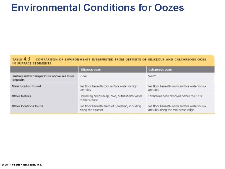 Environmental Conditions for Oozes © 2014 Pearson Education, Inc. 