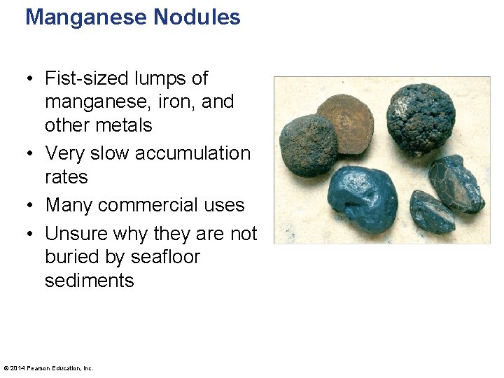 Manganese Nodules • Fist-sized lumps of manganese, iron, and other metals • Very slow