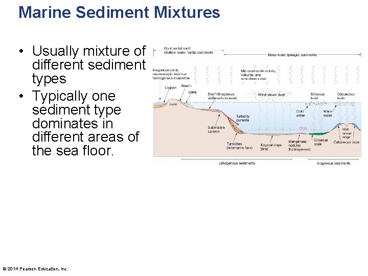 Marine Sediment Mixtures • Usually mixture of different sediment types • Typically one sediment
