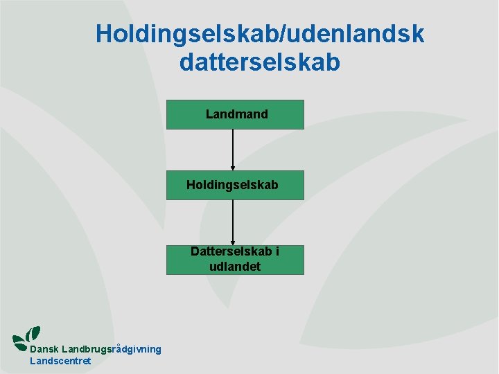 Holdingselskab/udenlandsk datterselskab Landmand Holdingselskab Datterselskab i udlandet Dansk Landbrugsrådgivning Landscentret 