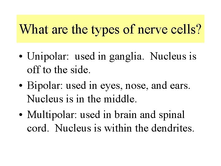 What are the types of nerve cells? • Unipolar: used in ganglia. Nucleus is What are the types of nerve cells? • Unipolar: used in ganglia. Nucleus is