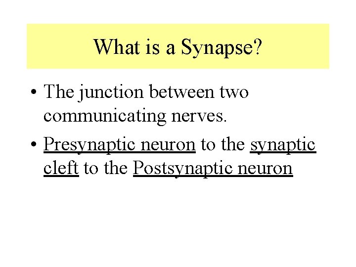 What is a Synapse? • The junction between two communicating nerves. • Presynaptic neuron What is a Synapse? • The junction between two communicating nerves. • Presynaptic neuron
