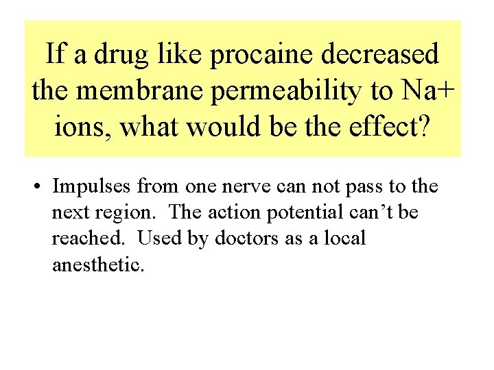 If a drug like procaine decreased the membrane permeability to Na+ ions, what would If a drug like procaine decreased the membrane permeability to Na+ ions, what would