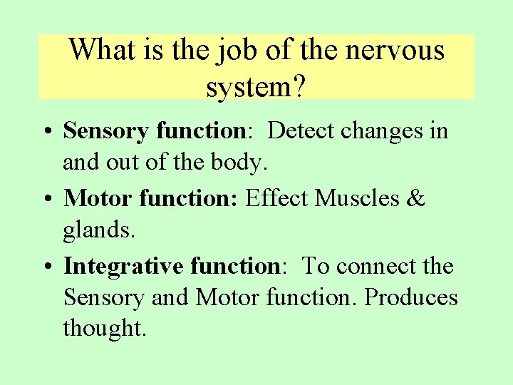 What is the job of the nervous system? • Sensory function: Detect changes in What is the job of the nervous system? • Sensory function: Detect changes in