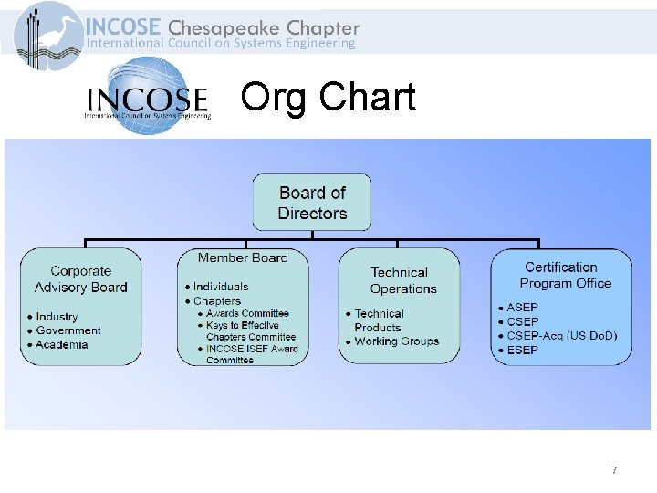 Org Chart 7 