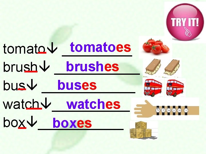 tomatoes tomato _____ brushes brush ______ buses bus ______ watches box ______ boxes 