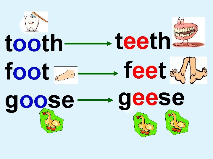 tooth foot goose teeth feet geese 