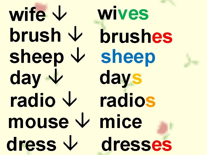 wife brush sheep day radio mouse dress wives brushes sheep days radios mice dresses