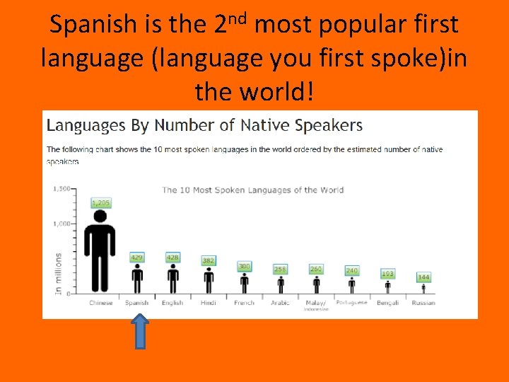 Spanish is the 2 nd most popular first language (language you first spoke)in the