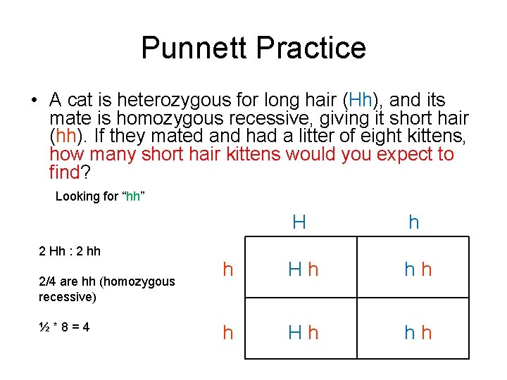 Punnett Practice • A cat is heterozygous for long hair (Hh), and its mate