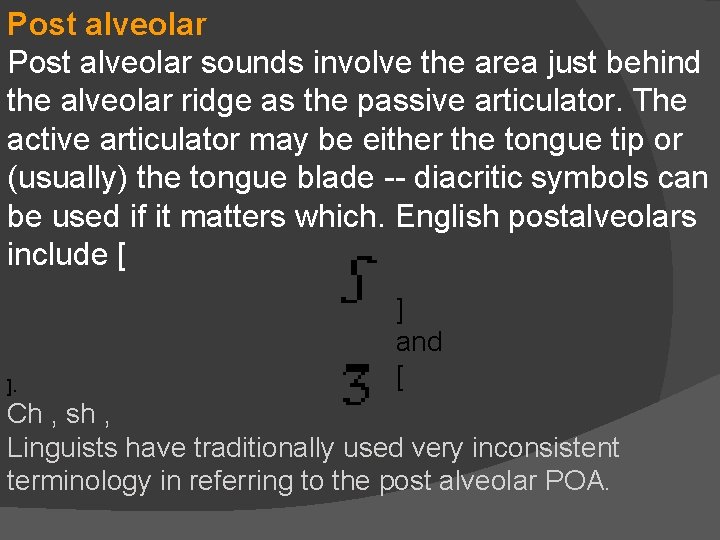 Post alveolar sounds involve the area just behind the alveolar ridge as the passive