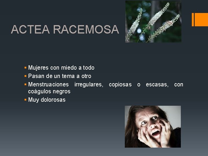ACTEA RACEMOSA § Mujeres con miedo a todo § Pasan de un tema a