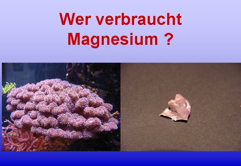 Wer verbraucht Magnesium ? 