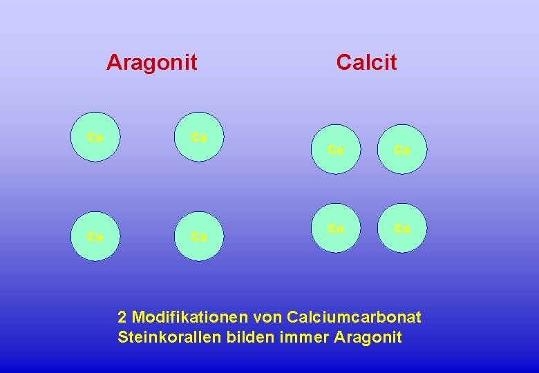 Aragonit Ca Ca Calcit Ca Ca 2 Modifikationen von Calciumcarbonat Steinkorallen bilden immer Aragonit