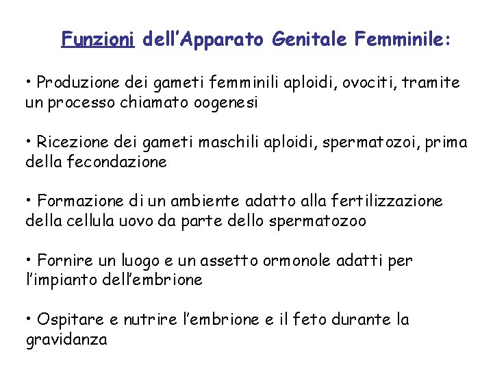 Funzioni dell’Apparato Genitale Femminile: • Produzione dei gameti femminili aploidi, ovociti, tramite un processo