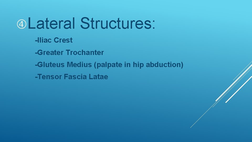 Lateral Structures: -Iliac Crest -Greater Trochanter -Gluteus Medius (palpate in hip abduction) -Tensor Lateral Structures: -Iliac Crest -Greater Trochanter -Gluteus Medius (palpate in hip abduction) -Tensor